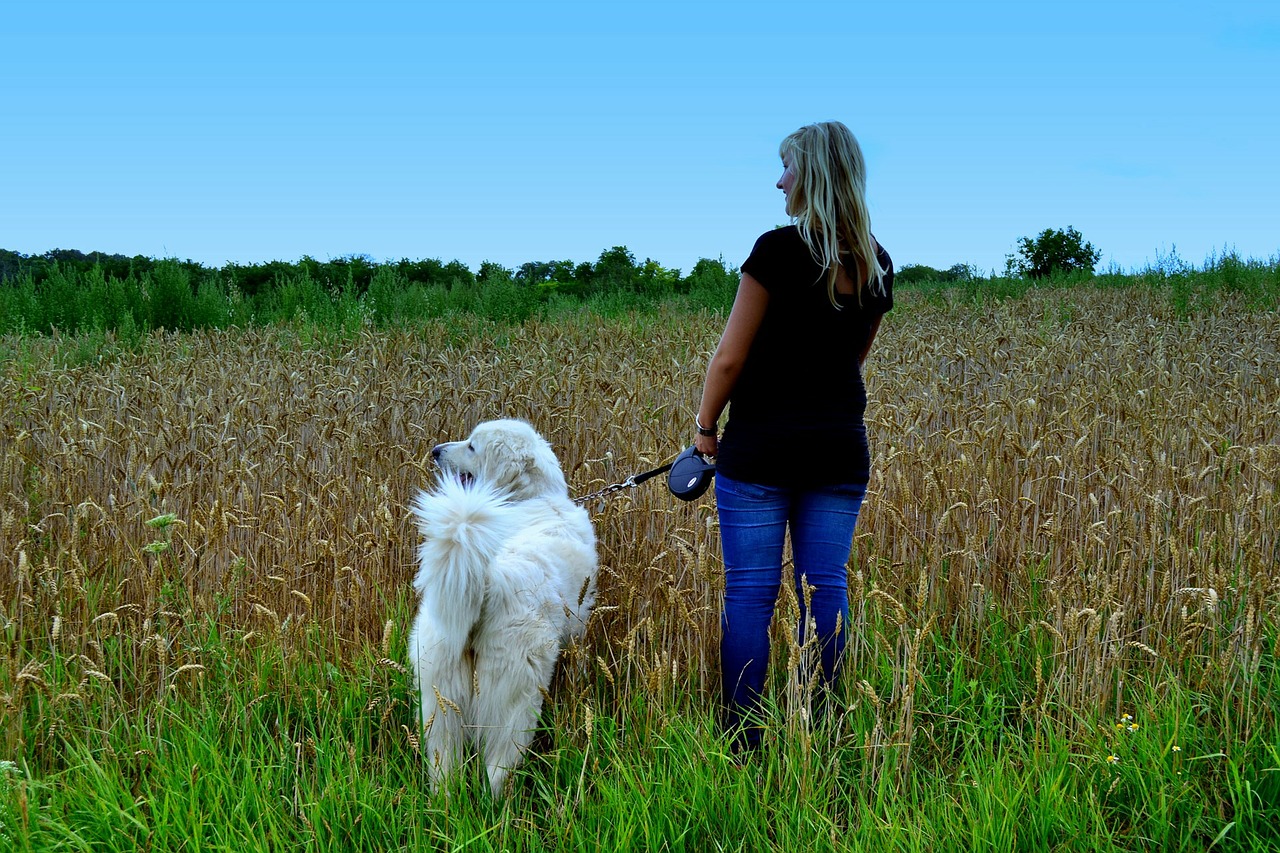 mulher passeando com o cão