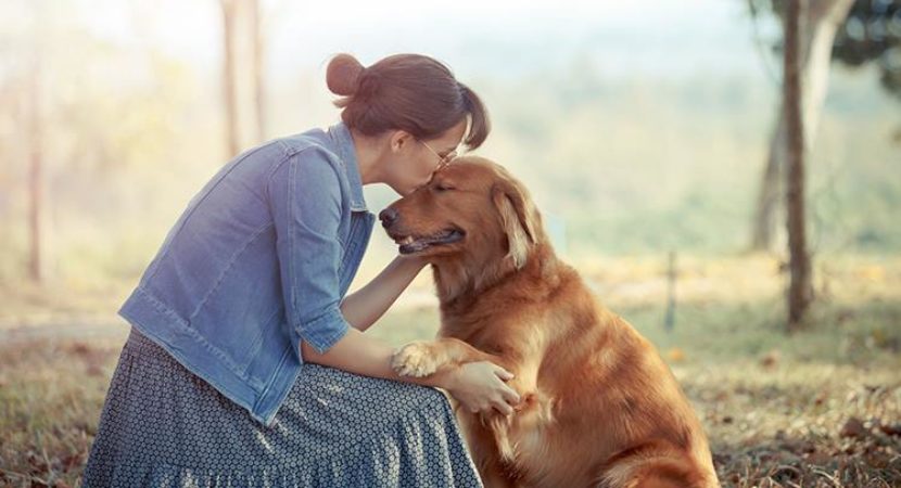 Tinder para animais